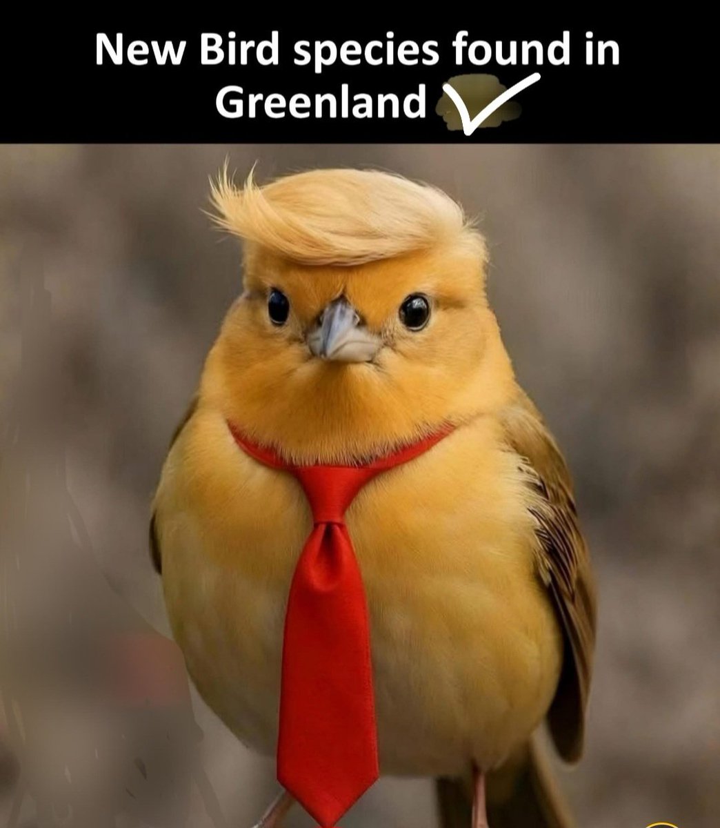 <a href="/allenanalysis/">Brian Allen</a>