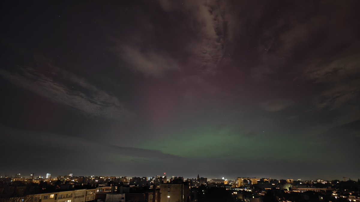 Felipe A. Magalhães tweet media