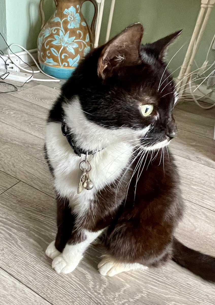 Such a beautiful girl she was! 🖤🤍🖤🤍🖤🤍