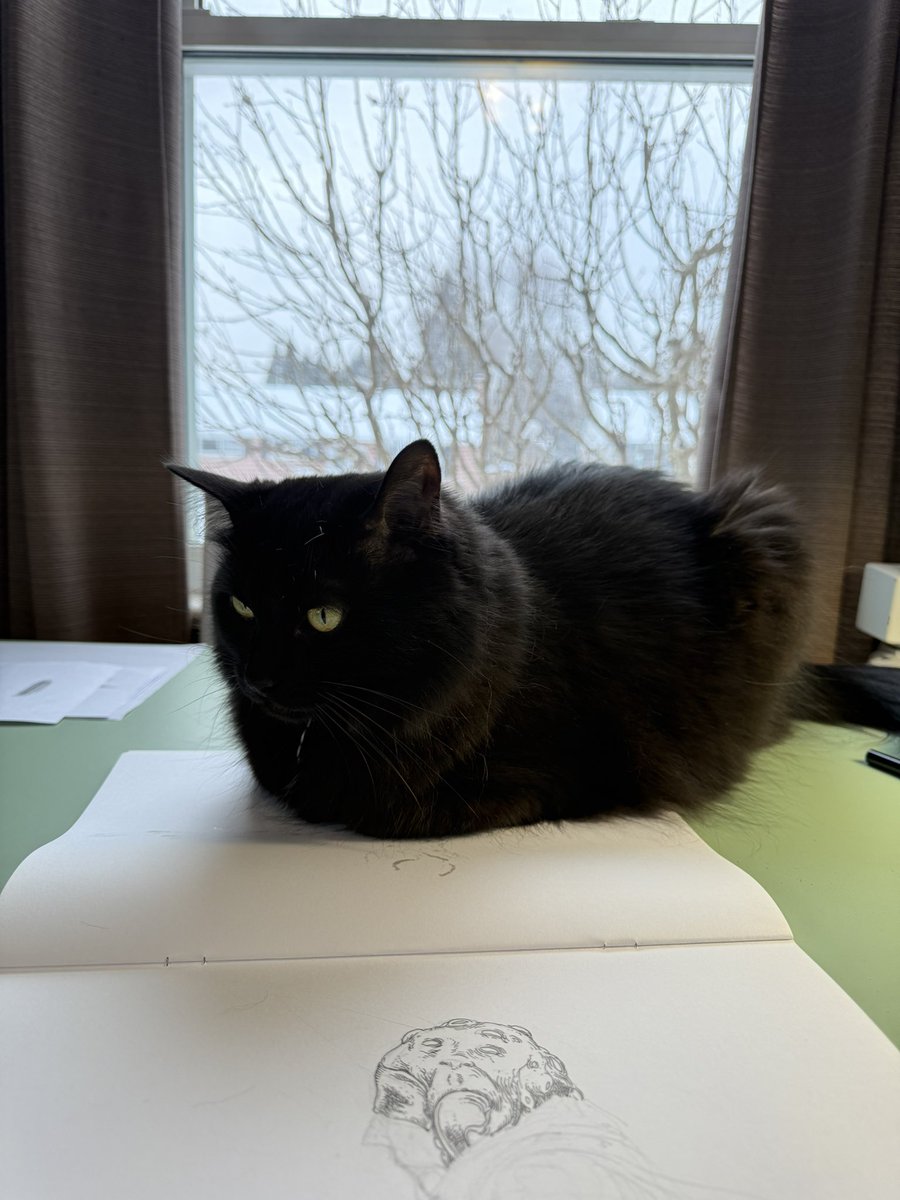 Lost_Machine's tweet image. Pumpkin giving me notes.