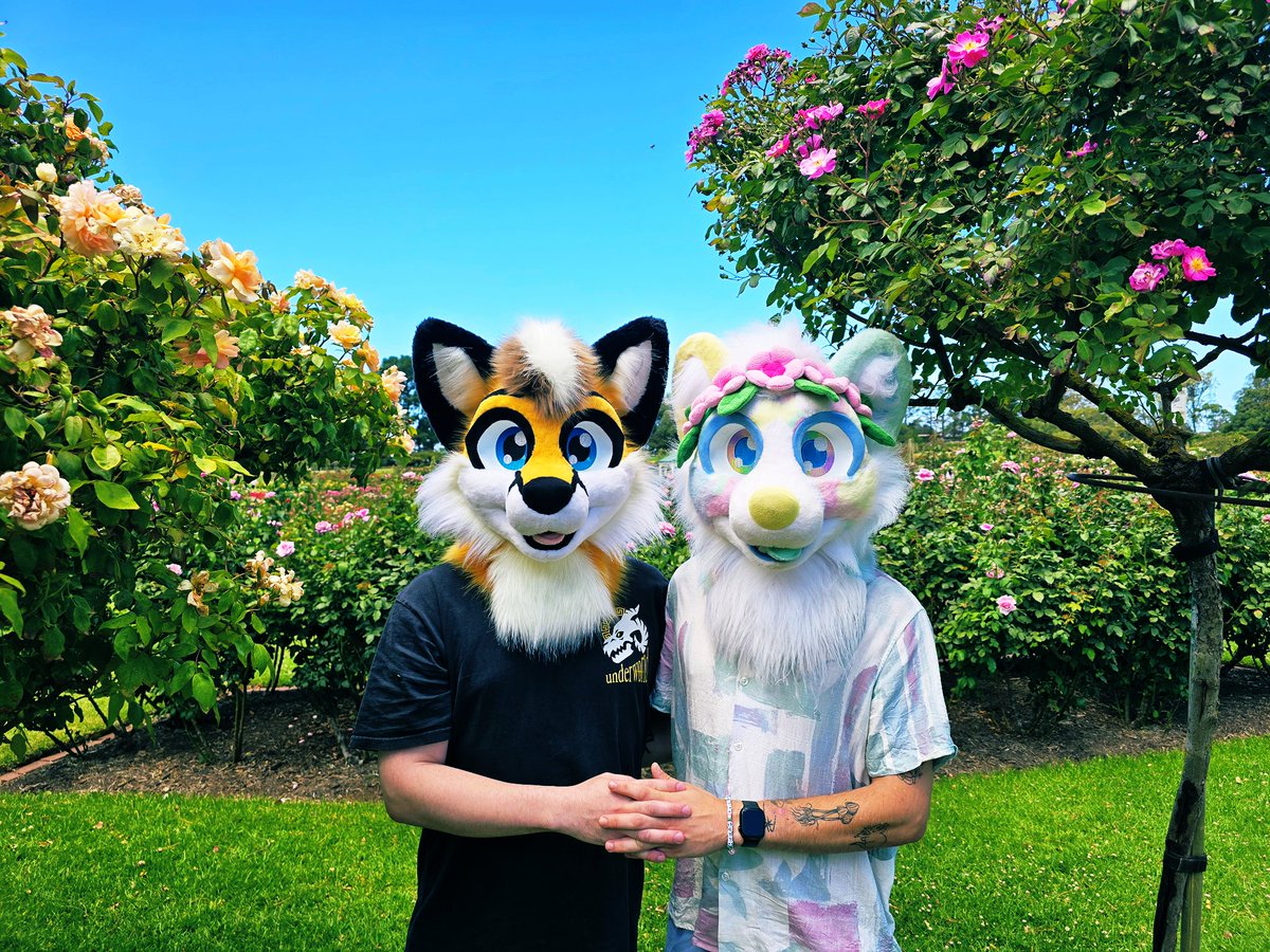 august // jasper tweet media