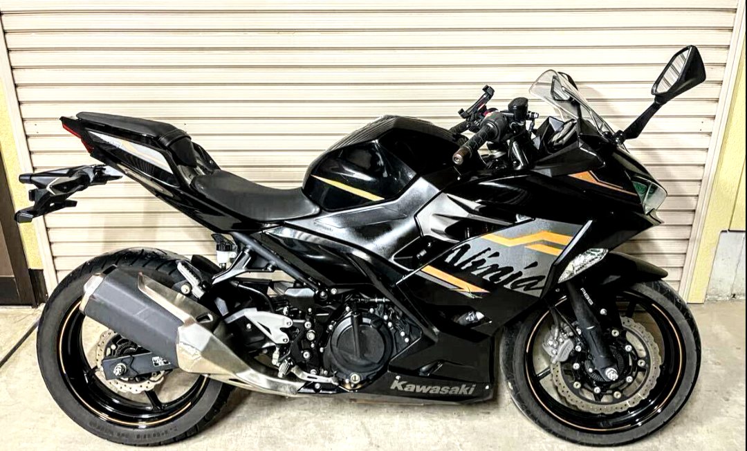 やっぱ黒金Ninjaカッコイイ🤩✨✨ でも、真っ白もカッコイイよね