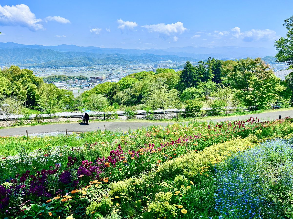 toococco's tweet image. おはようございます
今日の写真は高知旅行から

お酒も美味しい、景色も綺麗な高知、大好きです！
春の牧野植物園の景色がすごく好きなのでまた春に遊びに行きたいな…✨

さて、今日も寒いですが皆様、今日も良い一日を！