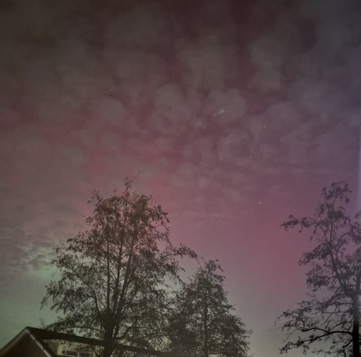 Jeanette de Poorter tweet media