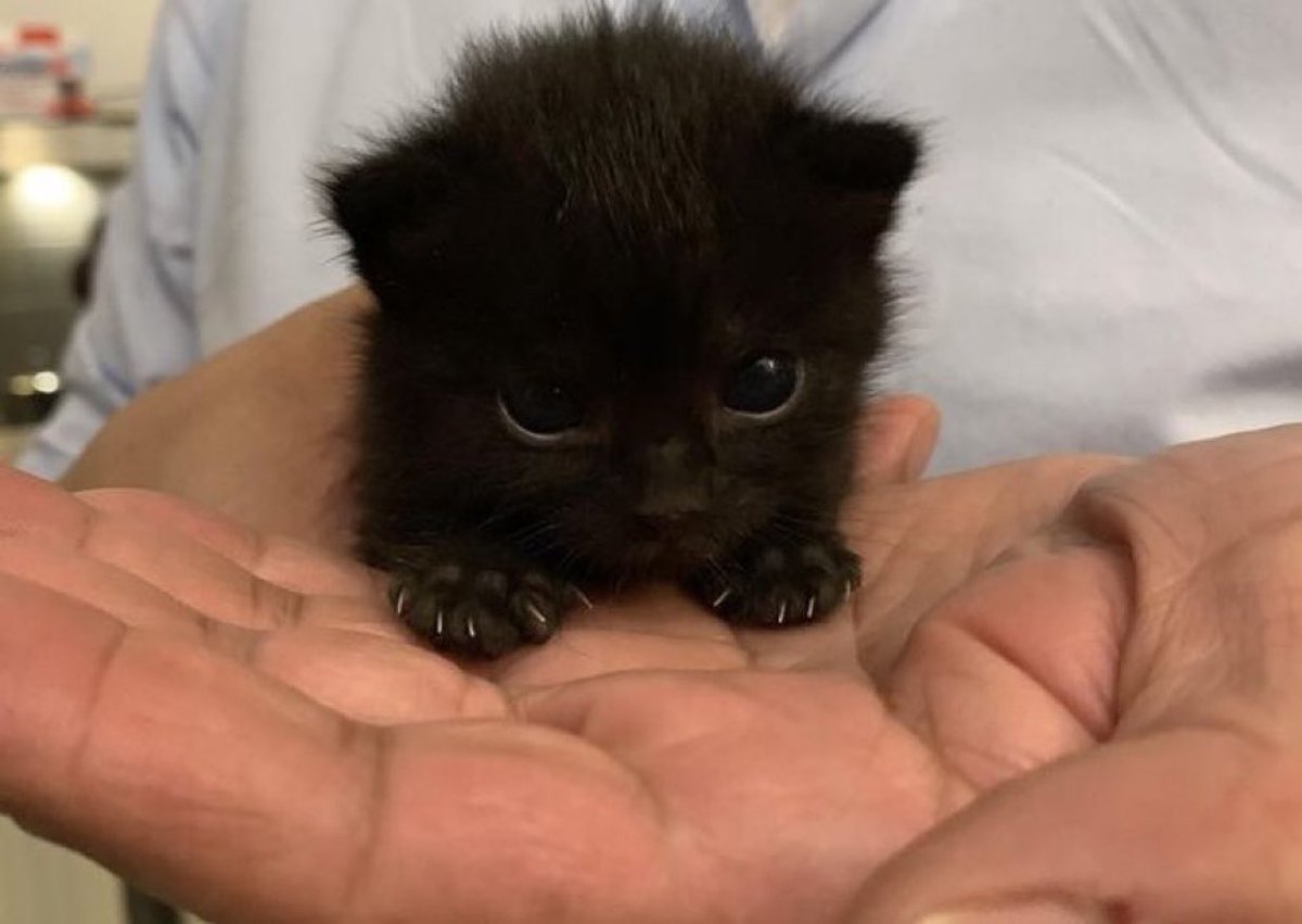 ( # 𝟏𝟒𝟑 ) tweet media