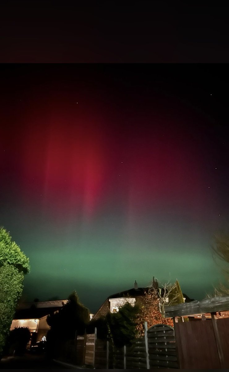 lusaiya 🫧 tweet media