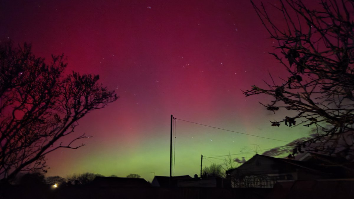 Debbie Pressdee tweet media