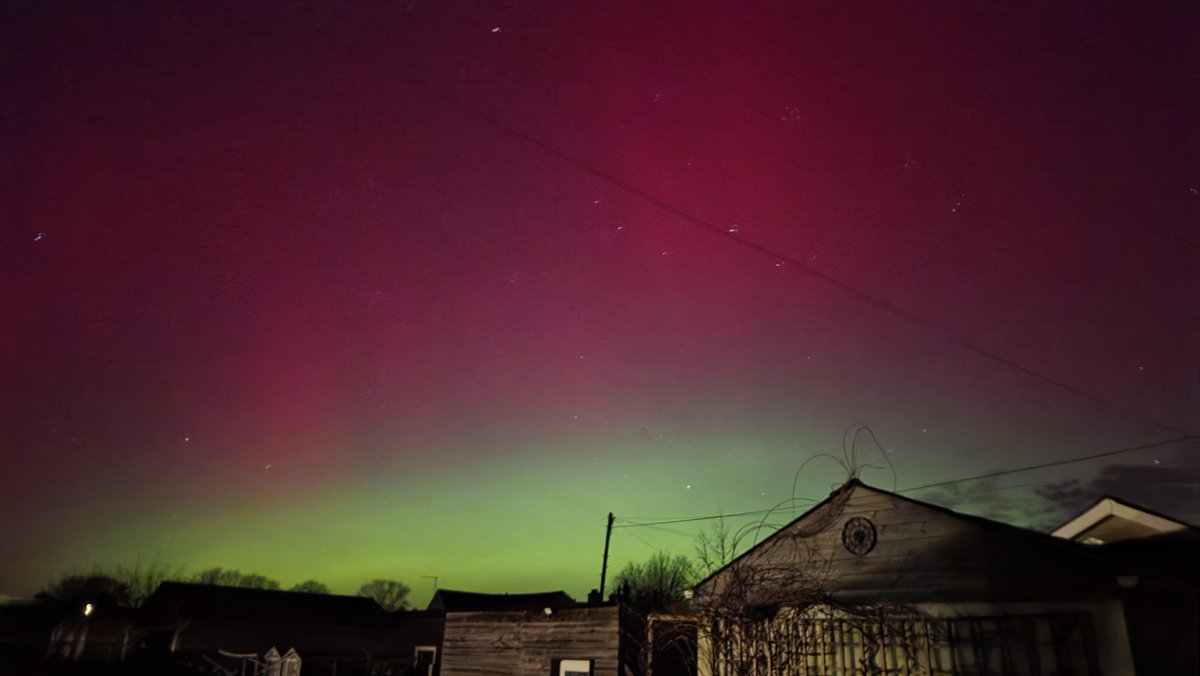 Debbie Pressdee tweet media