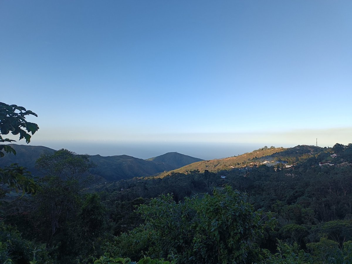 AnotherFj's tweet image. 