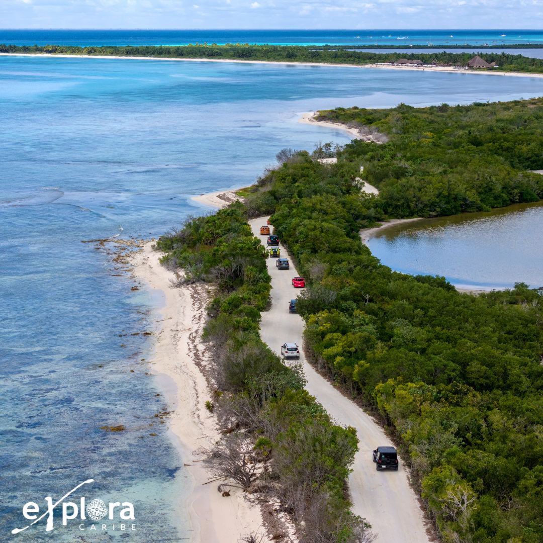 🌊 Si buscas belleza natural y aguas cristalinas, Cozumel es tu destino perfecto. 🐠 

#ExploraTours #GoExplora #Cozumel