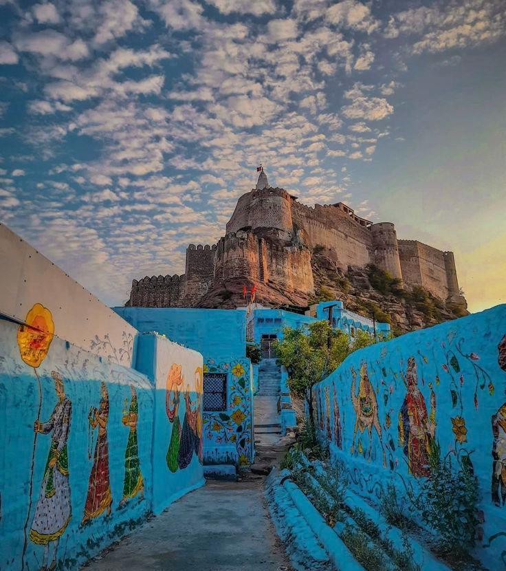 चिड़ी-कमेड़ी tweet media