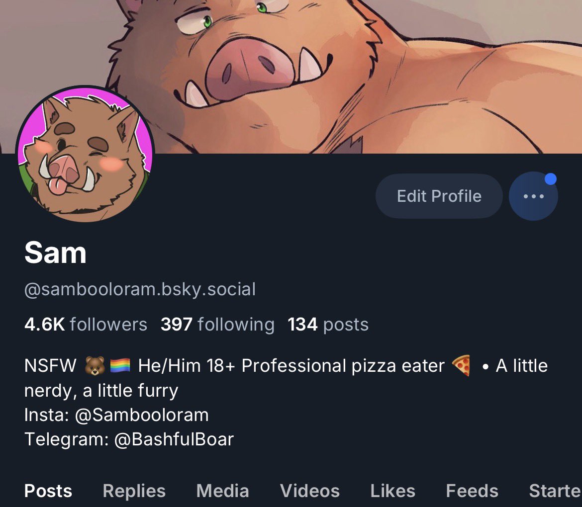 Sam 🍕 tweet media