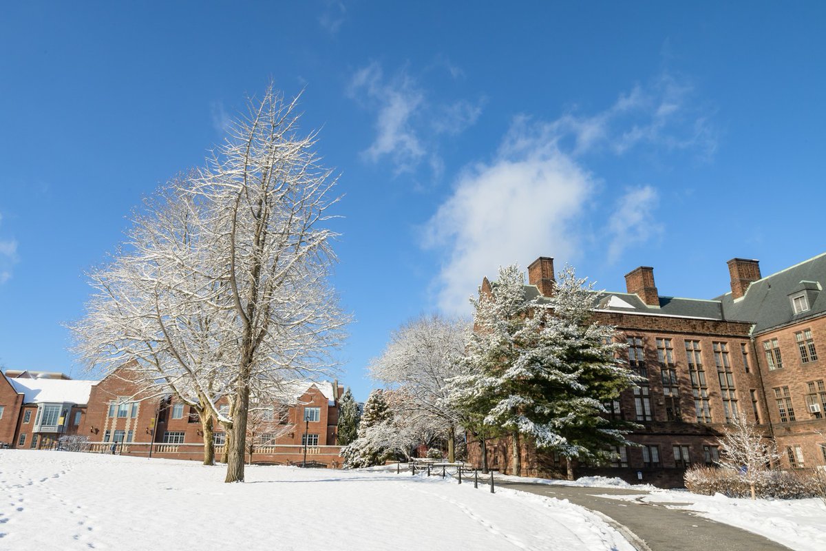 Trinity College tweet media