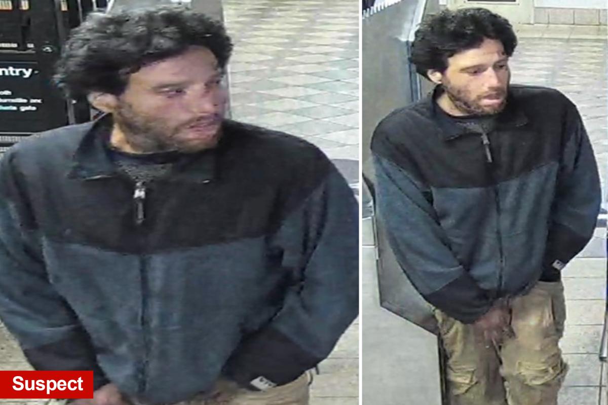 Stranger pushes man, 35, onto NYC train tracks in second random subway shove of 2026: cops, sources trib.al/OMuVV2n