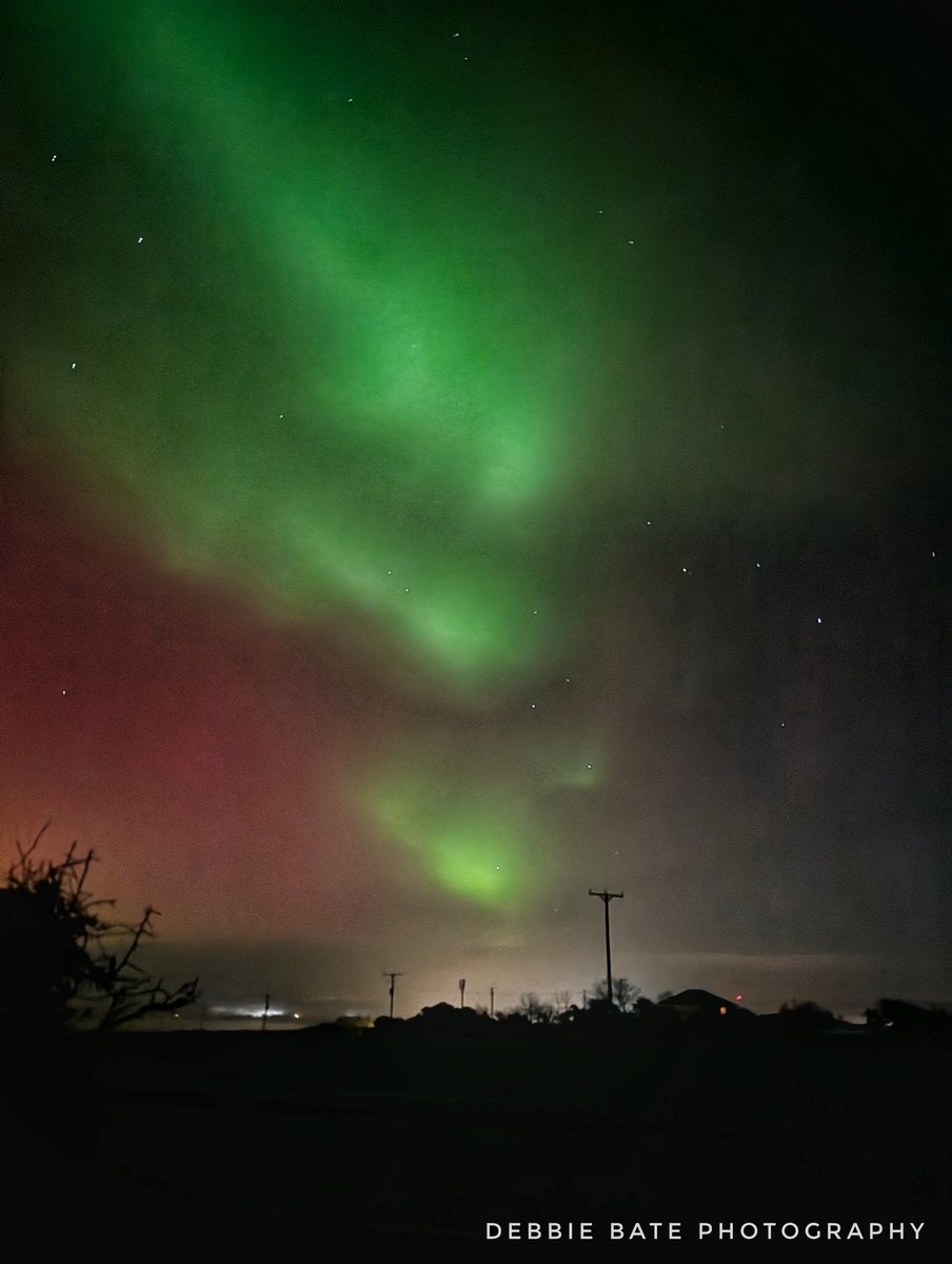 Debbie Bate tweet media