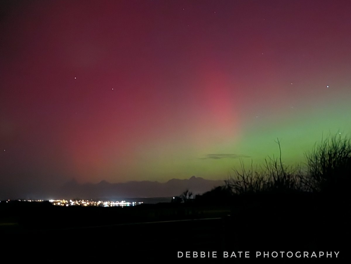 Debbie Bate tweet media