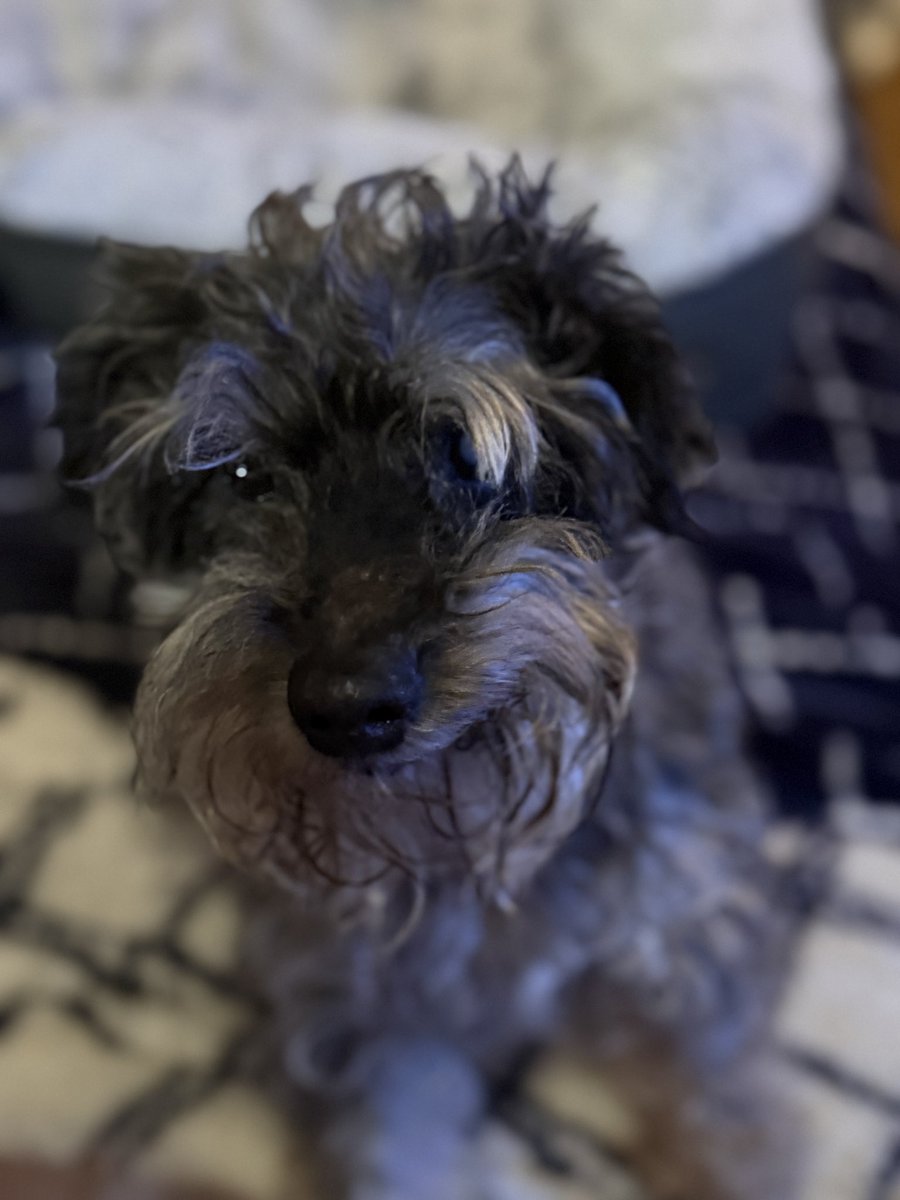 JB (blue checkmark) tweet media