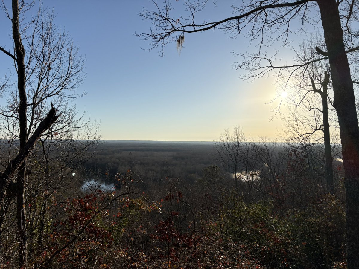 Spackle's Speedsters tweet media