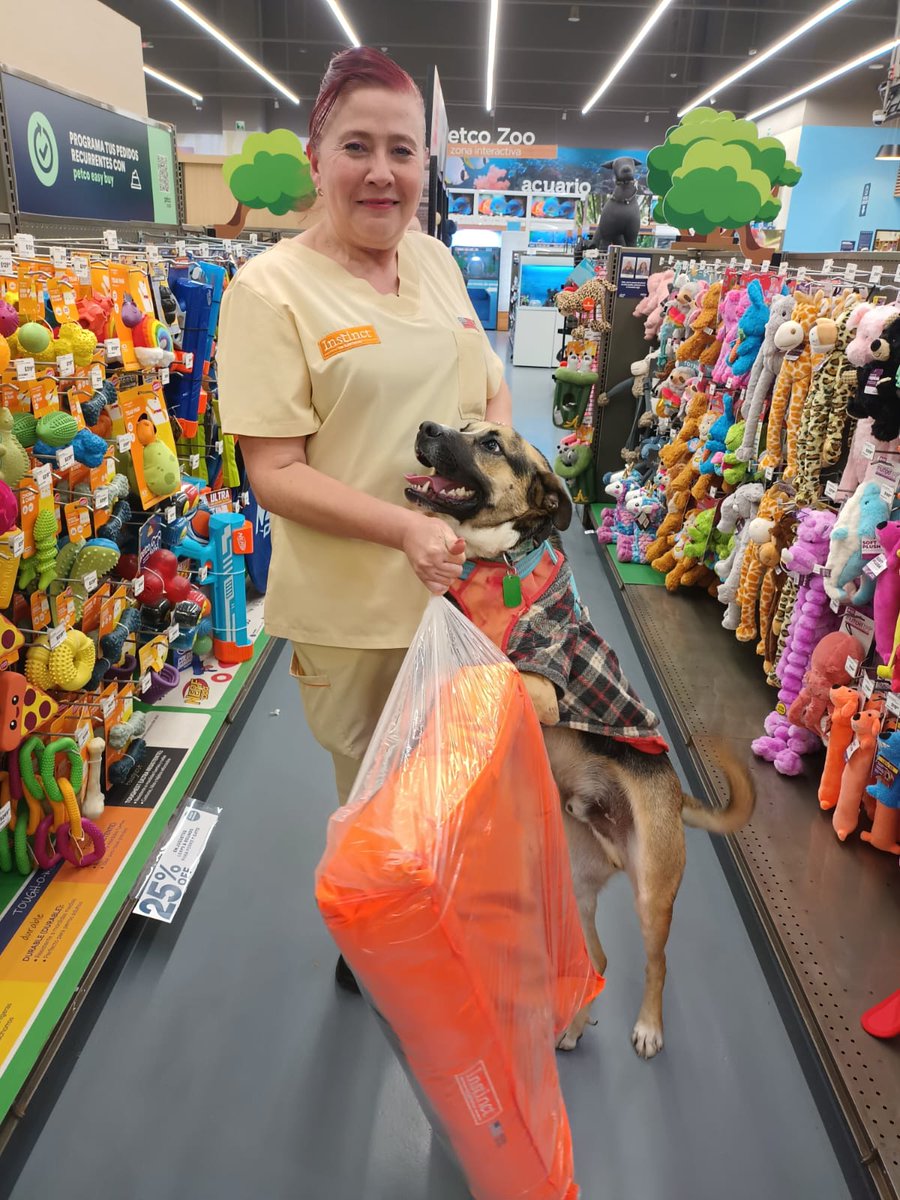 #FelizLunes queremos agradecer a Lidia, promotora de la marca de croquetas #Instinc, quien donó una camita para los nitinos. #Amigo fue el encargado de recibir el donativo.

Esta lucha es de todos y con su ayuda es posible cambiar más destinos #ApadrinaUnNitino <a href="/NitinNeza/">Nitin México</a>!!!