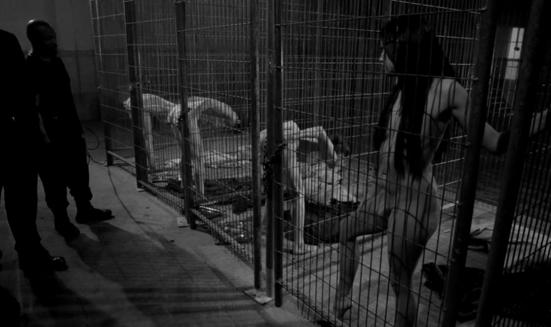 Posts From New Eden tweet media