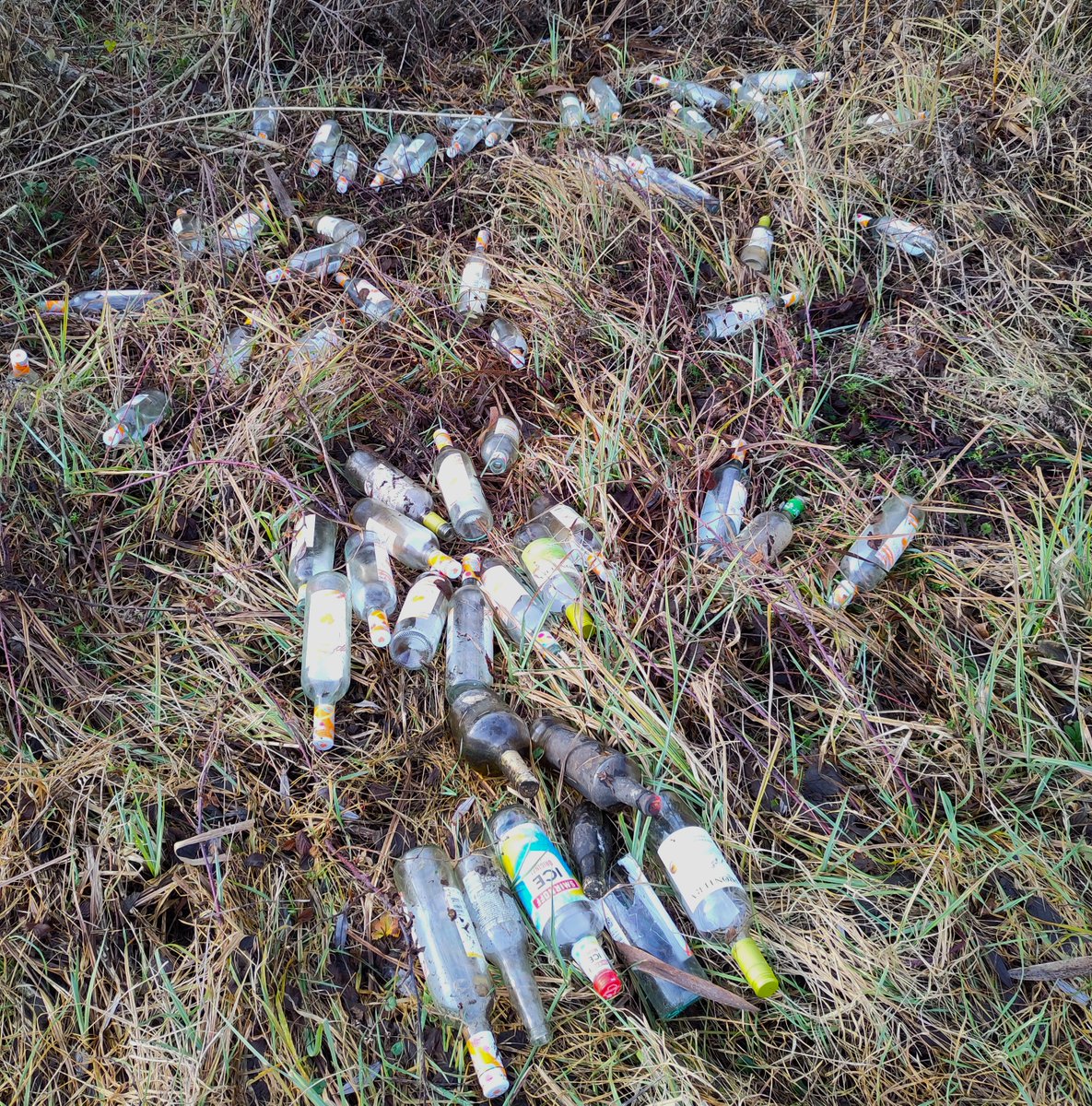 Lekjutters Vijfheerenlanden Lekjutter.bsky.social tweet media