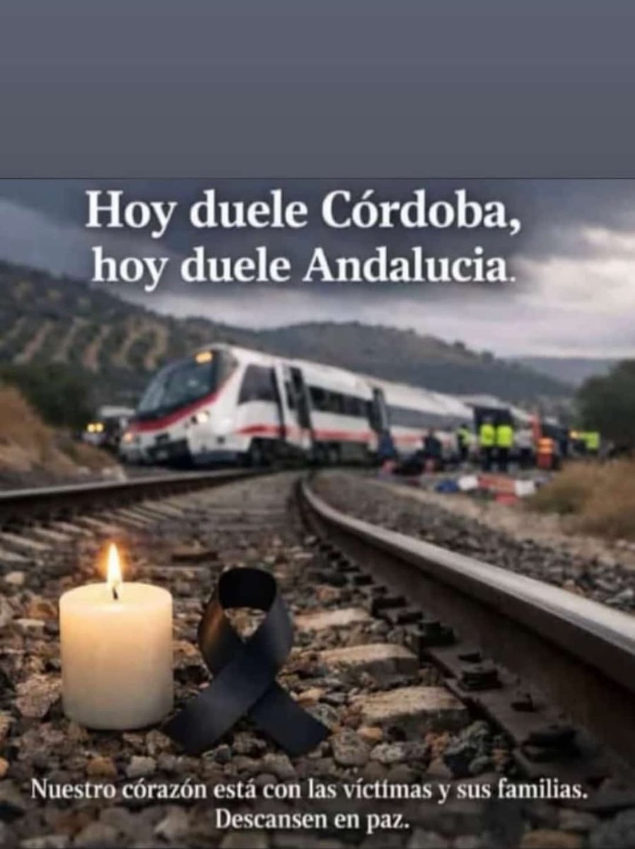 Conchi Solanas tweet media