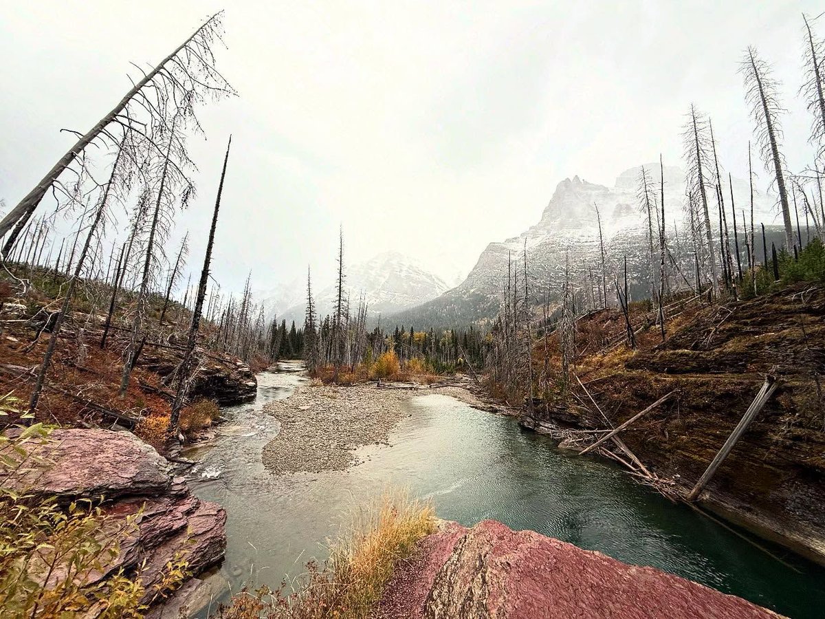 Discover Kalispell tweet media