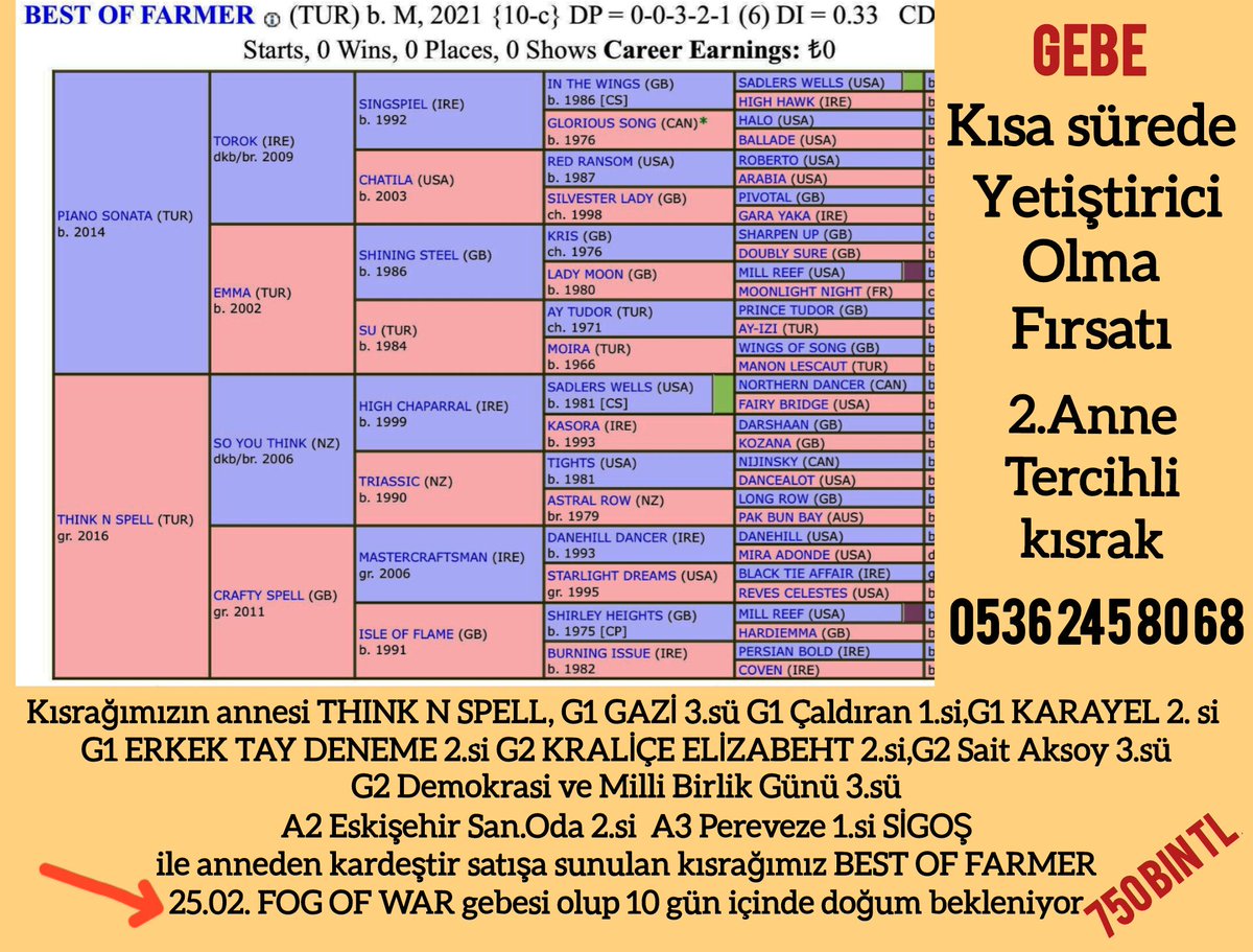 BEST OF FARMER 
25.02.2025 #FOGOFWAR gebesi 
10 gün içinde yetiştirici olma fırsatı
           instagram.com/p/DTs99ECjLUa/…