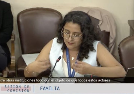 academia parlamentaria tweet media