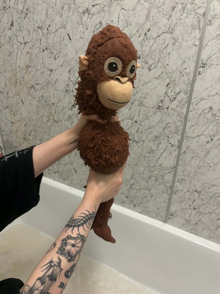 chatpileroan's tweet image. it’s #washyomonkeymonday