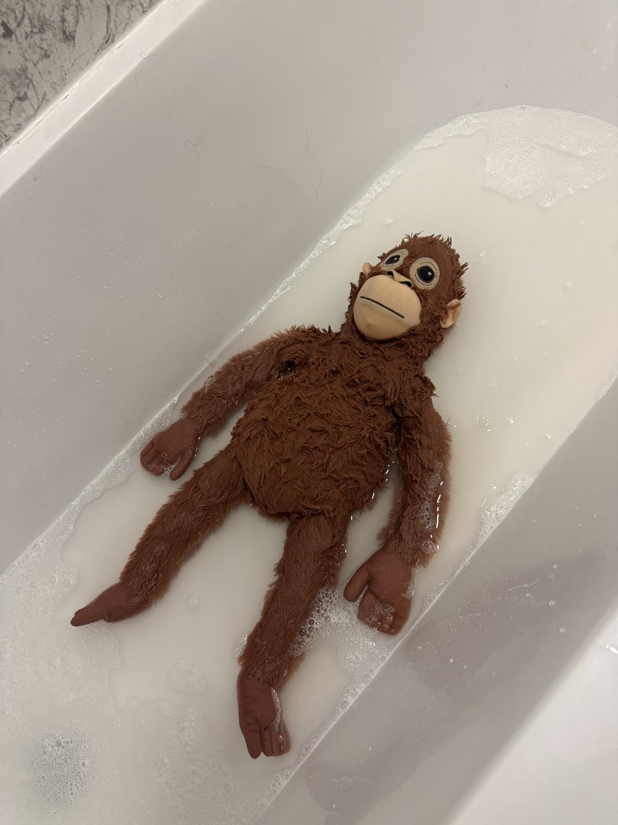 chatpileroan's tweet image. it’s #washyomonkeymonday