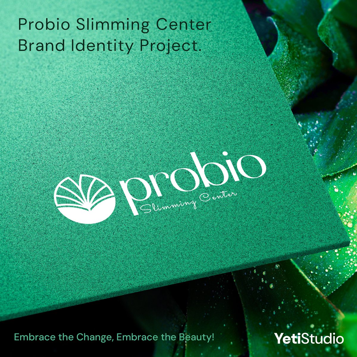 yetistudio977's tweet photo. Probio Slimming Center Brand Identity Project
Where Wellness Meets a Fresh New Look
#BrandIdentity #ProbioSlimmingCenter #WellnessBranding #HealthyLiving #BrandDesign #VisualIdentity #YetiStudio https://t.co/yfoAitVFMa