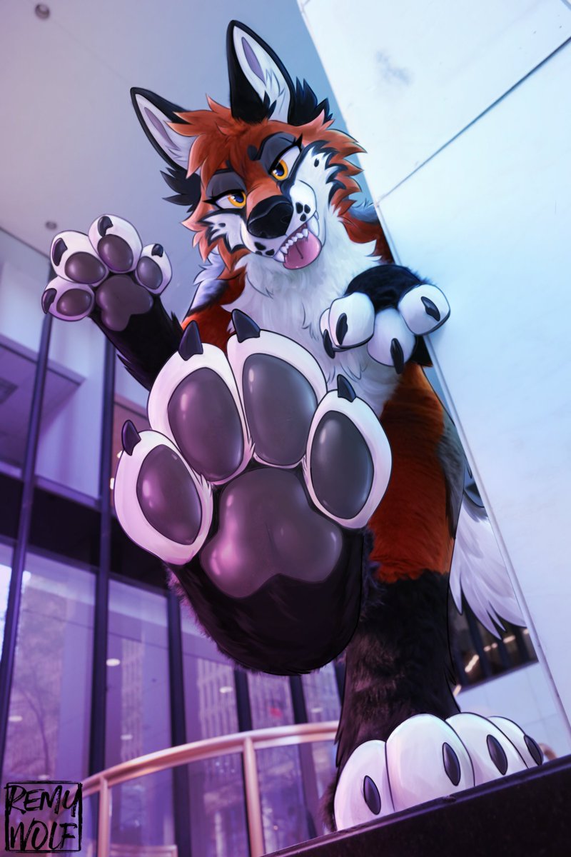 Remy 🌊 tweet media