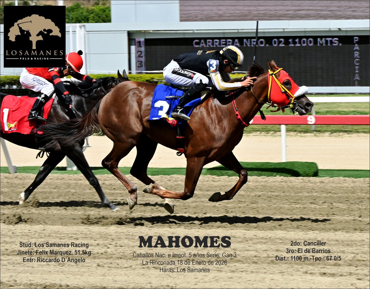 Los Samanes Polo & Racing tweet media