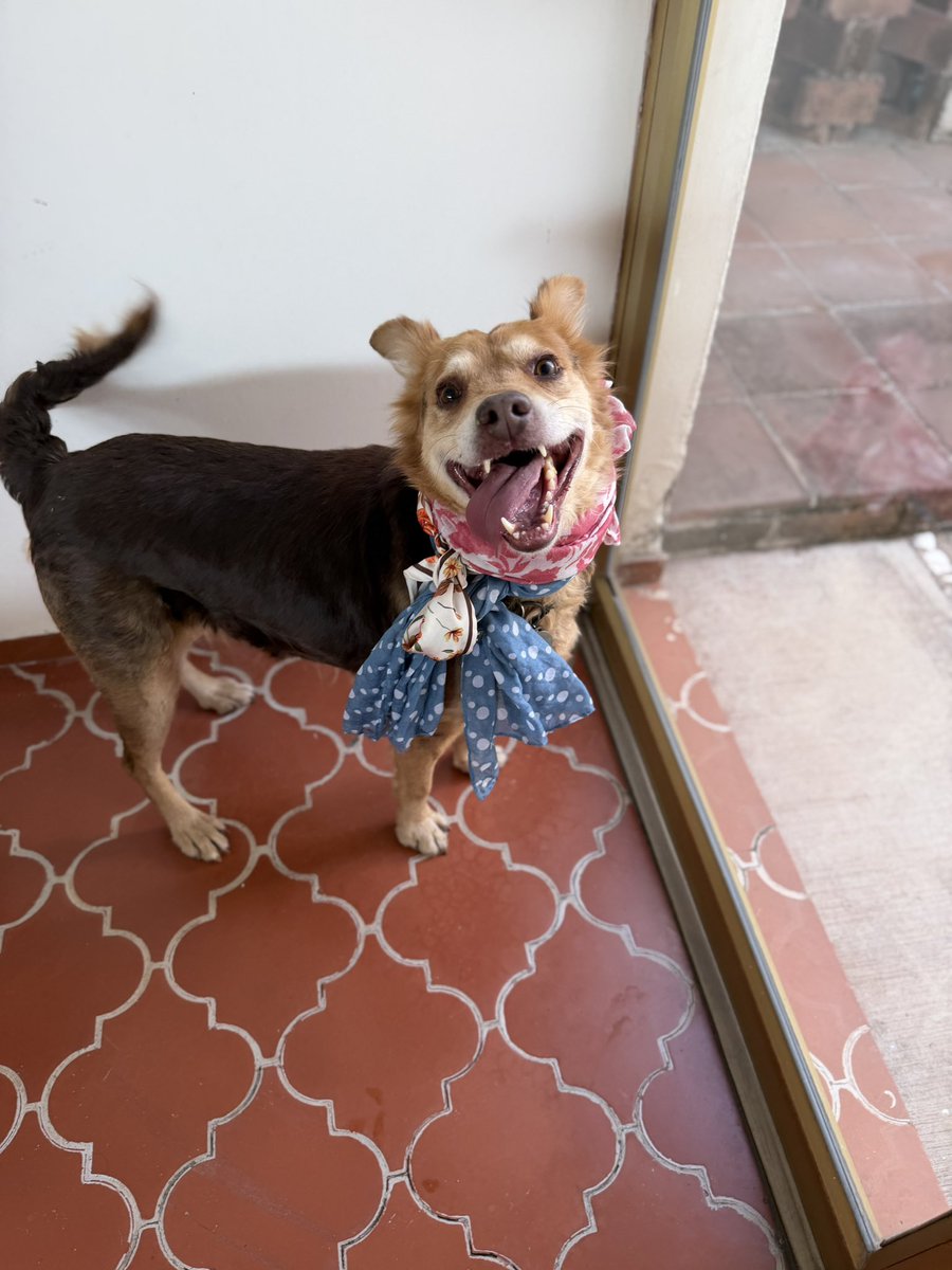 Alina_Gag's tweet image. Bienvenida antes y después

3 meses de diferencia

Es extraordinaria 🩷