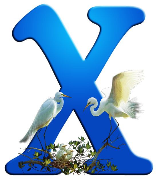 <a href="/nar1790/">ابو احمد</a>
@Fhym30
<a href="/ubQbjBRzSy73863/">ابو 🌺نواف🌹</a>
<a href="/al_i939_____/">عفاشي^_*في زمن السيد</a>
<a href="/Camo__Oficial/">Cesar Andrés Martínez Osma</a>
<a href="/Alsadi39/">Alsadi Mahar</a>
<a href="/miz7399/">ألوفاء 1🌹</a>
<a href="/EAbbas079/">عباس العزي</a>
<a href="/halawa707/">حلاوة 🍯 حلاوة احيتاطى هلا هلا</a>
<a href="/nb84076527/">نبع الحميري</a>
<a href="/97FG33/">🇮🇶✨💫عراقيٰه واسہٰميٰ يٰهزالہٰگاع 👑</a>
<a href="/ik_553/">𝐌𝐮𝐬𝐤𝐚𝐧</a>
<a href="/1adann/">Adnan Choudhary</a>
<a href="/zulkum/">zulkum🇵🇰 🇵🇸</a>
<a href="/AboAhmedza/">Abo Ahmed Ali</a>
<a href="/nor4rh/">💥Nor elrhman💥</a>
<a href="/thawraegypt/">🇵🇸🅰🆉🅸🆉🦅412🦅 🇪🇬</a>
<a href="/tj0i1/">ســَ͢ــام🅧🅂🄰🄼</a>
<a href="/Tropicoxx/">⚜️MissTropico⚜️</a>
<a href="/789teqqe/">سيف الزعيم المسلول 🇸🇦</a>
<a href="/tmhzw43333957/">Ivy</a>
<a href="/hinaparvezbutt/">Hina Parvez Butt</a>
<a href="/kamelbslfj/">kamel كمال</a>
<a href="/geonews_urdu/">Geo News Urdu</a>
<a href="/Husseein99/">ابوالليث حسين الرفاعي 🇯🇴🇯🇴🇯🇴🇯🇴🇯🇴</a>