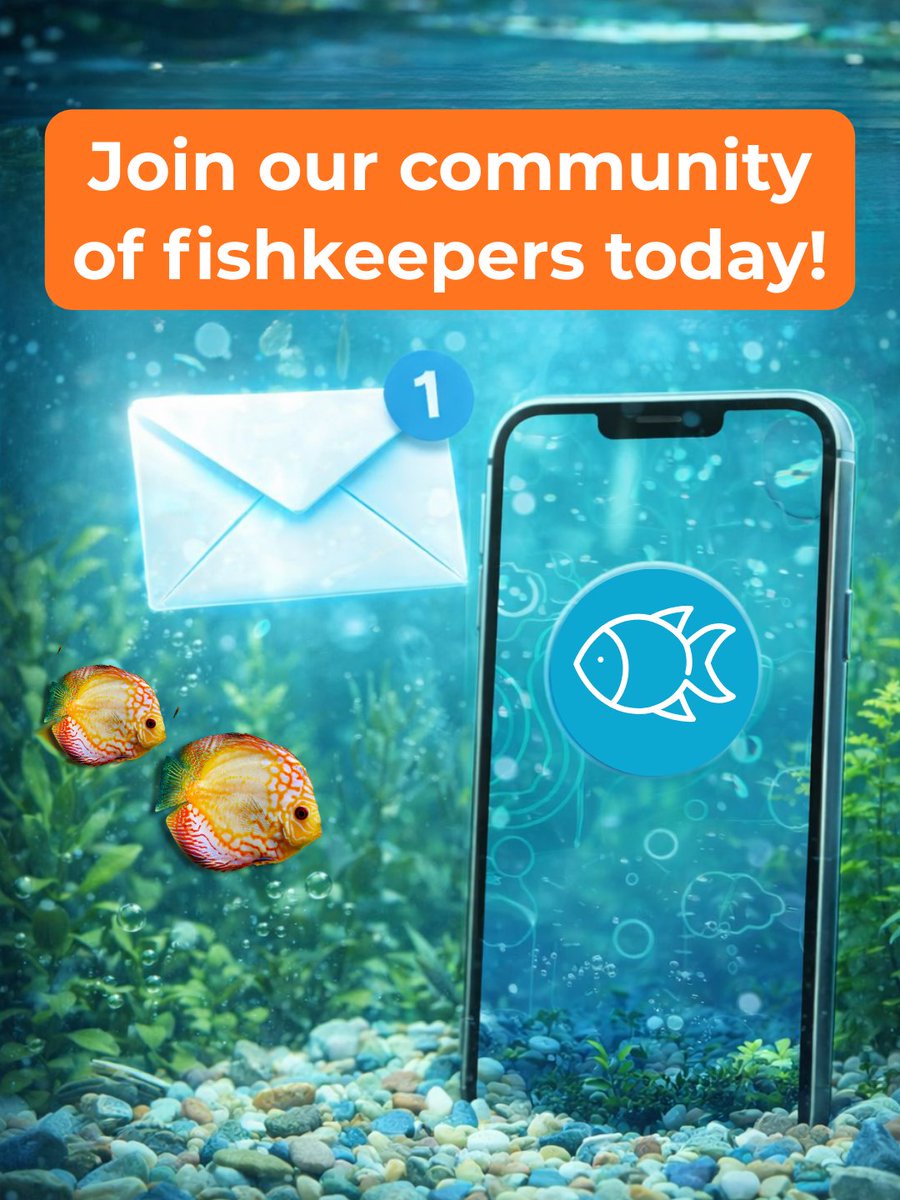 PFKmagazine's tweet image. Don’t miss a thing. Get the latest fishkeeping news, expert reviews, and exclusive competitions delivered directly to your inbox each month. 

Sign up today and take your fishkeeping to the next level: practical.fish/newsletters  

#Fishkeeping #PracticalFishkeeping #freshwaterfish