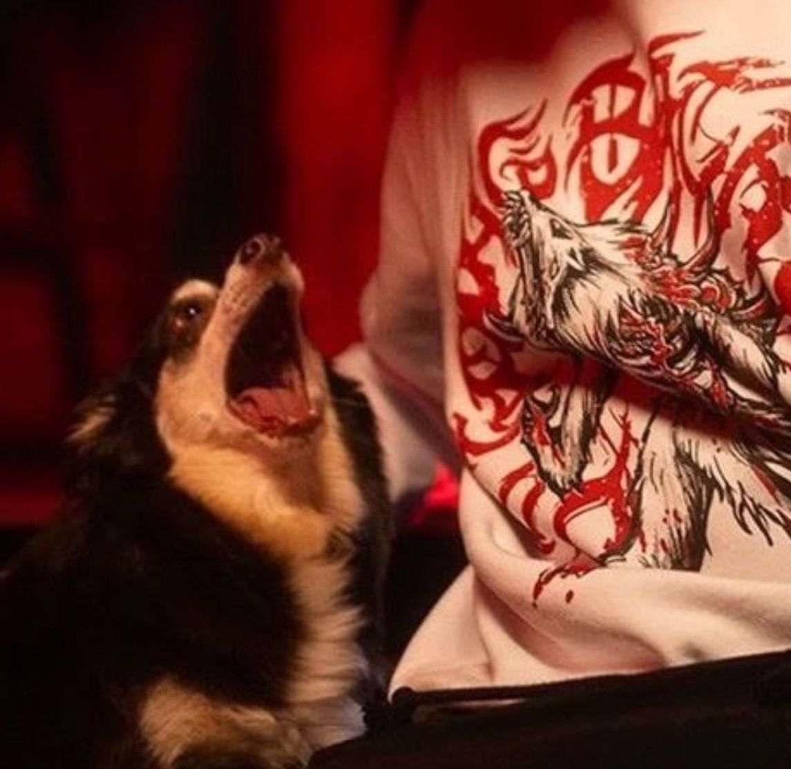 Milesrafa's tweet image. 