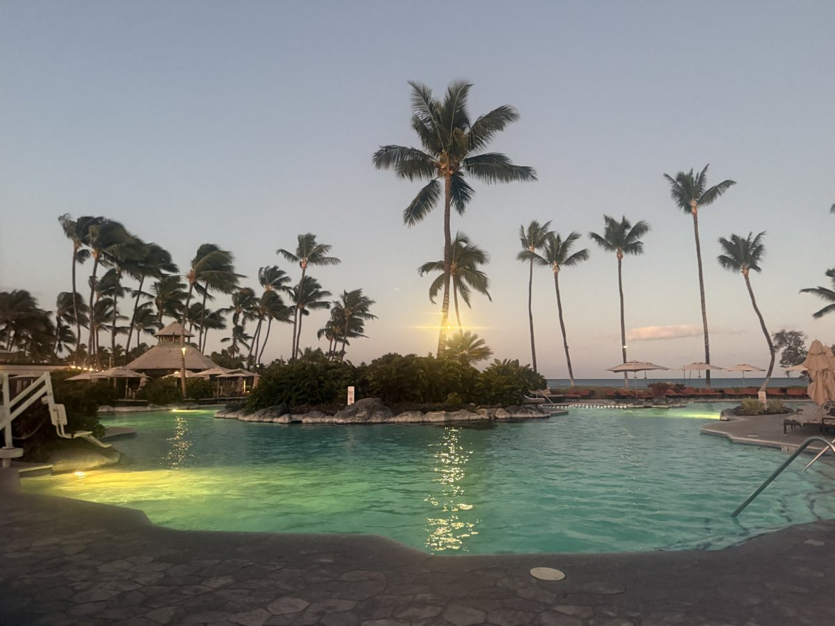 LucySafi's tweet photo. ASE Echo Hawaii is underway 🌊🌺 Great discussions, thoughtful questions, and cutting-edge echo science. Privileged to serve as faculty & learn alongside this incredible imaging community @ASE360 https://t.co/lPhIyKaeYx
