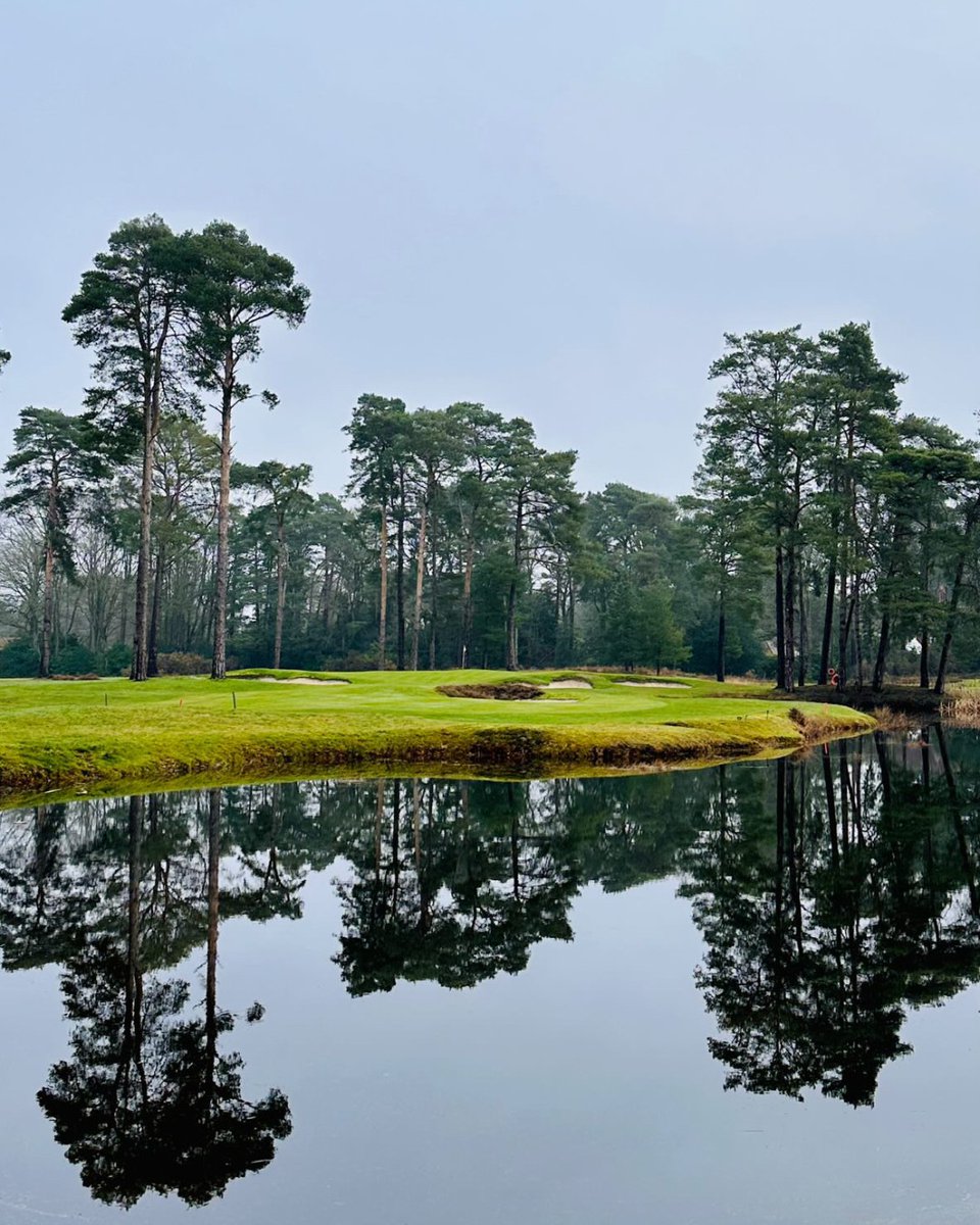 Woking Golf Club tweet media