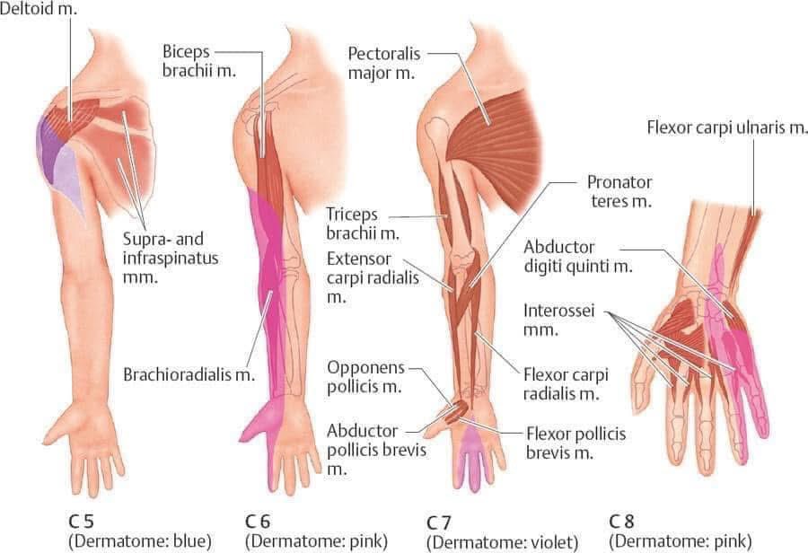 Abdullah Sulieman Terkawi, MD, MS(Epi) tweet media