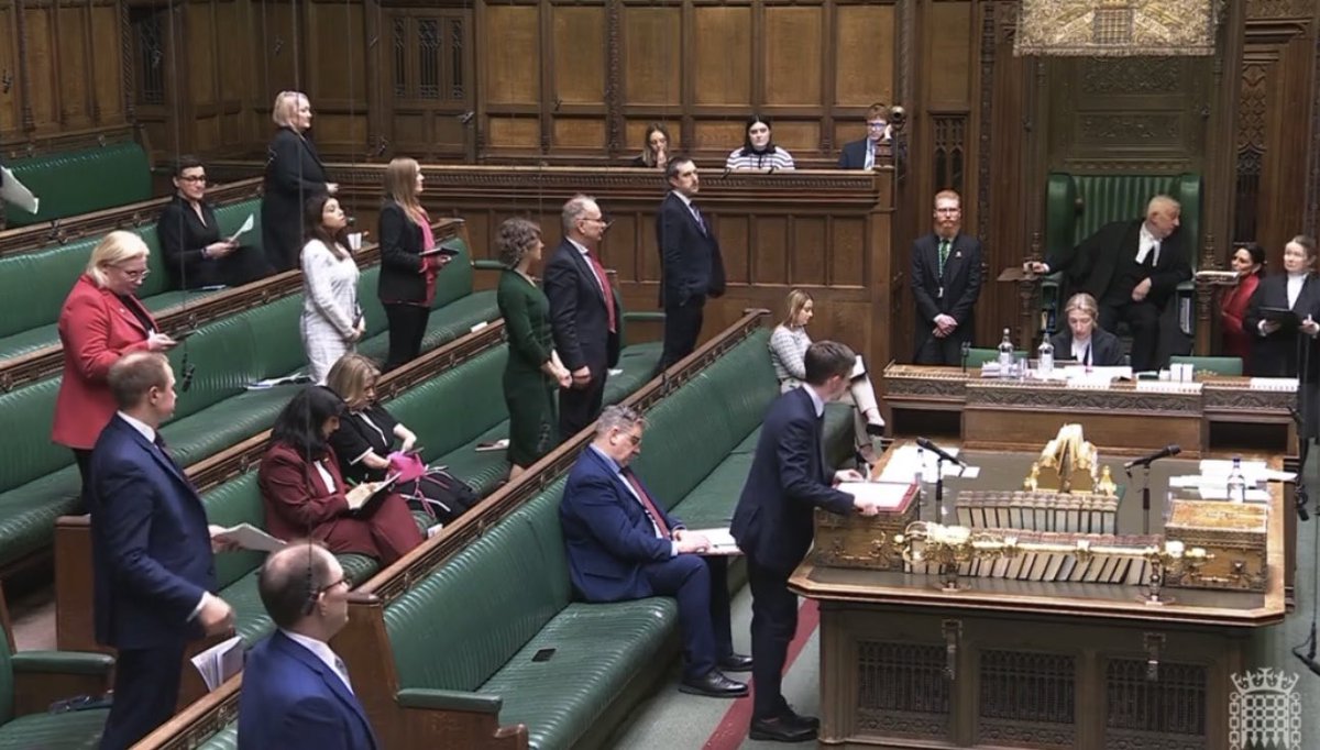 Steven Alton tweet media