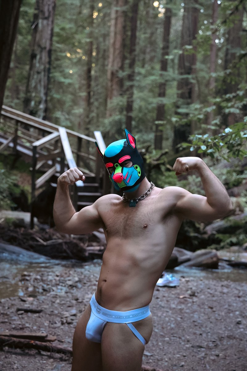 pupseren's tweet photo. how about muscle pup monday, is that a thing? #mcm #gaypup #NastyPig https://t.co/mPhZLh7nBn
