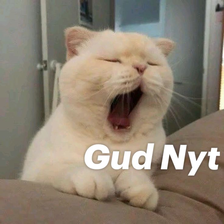 PromiseUpdate50's tweet image. GN CT, 

It's that time to the day to touch grass again, if you've been bullish since morning.

GN fam and keep believing in @duel_duck