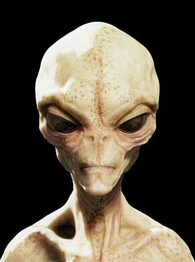 Astronomiaum tweet media