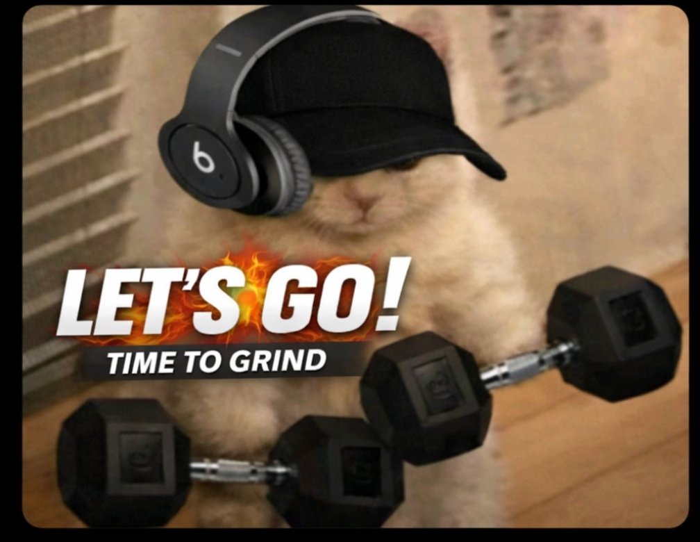 NG. ANAF tweet media