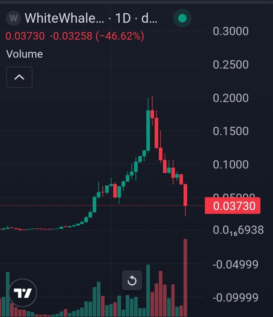 Johnny 🏴‍☠️ (Skilled Agent Arc) tweet media