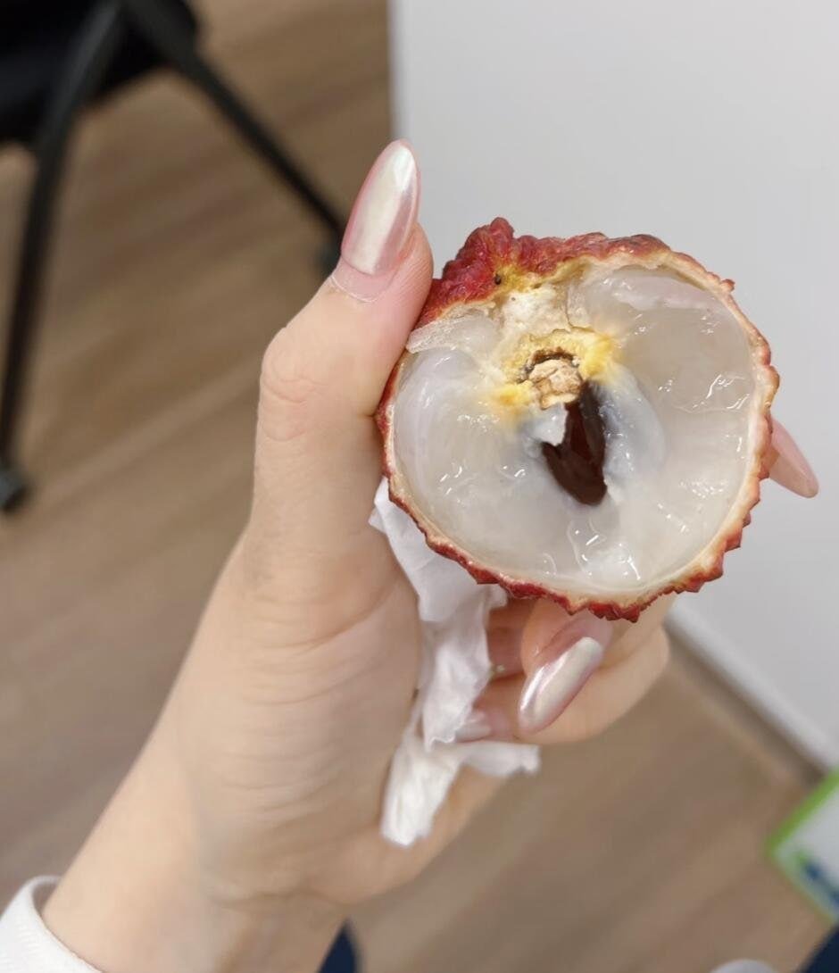 晴子演唱会门票 tweet media