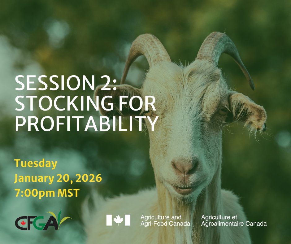 CFGA_ACPF tweet media