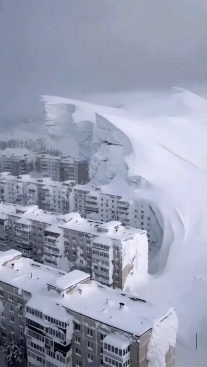 Carolina ❤️‍🔥 tweet media